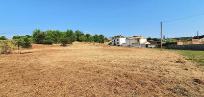 /international/pt/taveiro-leiria-120091020973/