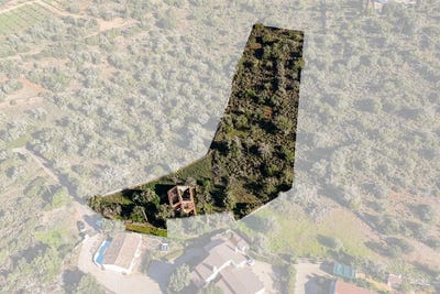 /international/pt/silves-faro-310098701308/