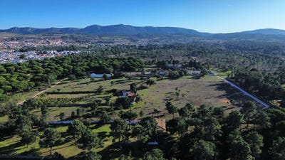 /international/pt/setubal-setubal-municipality-310100542618/