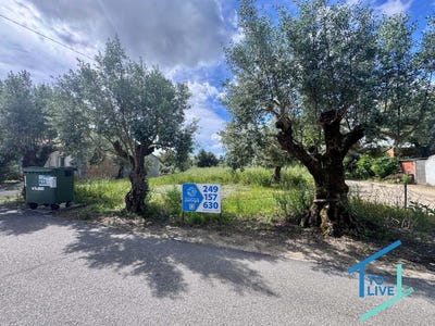 /international/pt/tomar-santarem-310103585064/