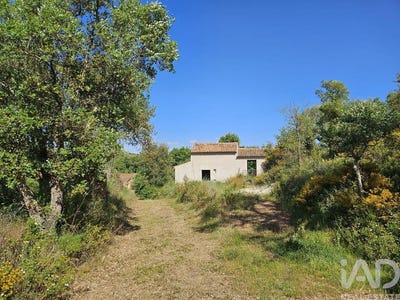 /international/pt/beja-beja-310107587418/