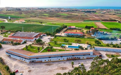/international/pt/peniche-leiria-120082825102/