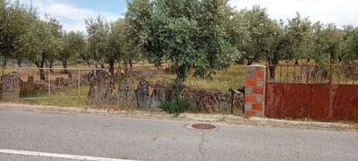 /international/pt/brejo-muro-castelo-branco-braganca-310105250842/