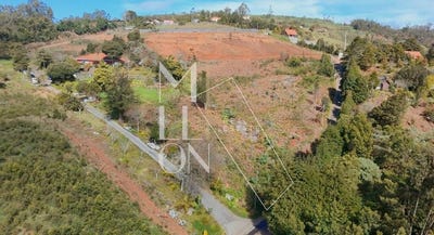 /international/pt/santa-cruz-madeira-310107358332/