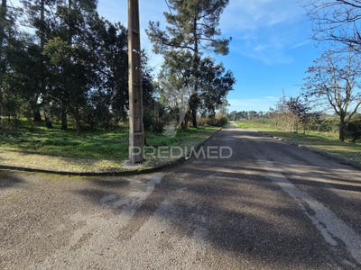 /international/pt/praia-do-ribatejo-vila-nova-da-barquinha-santarem-310105908735/