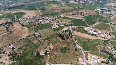 /international/pt/carnota-lisbon-310100432387/