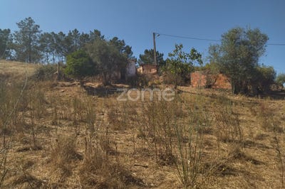 /international/pt/odemira-beja-310097186323/