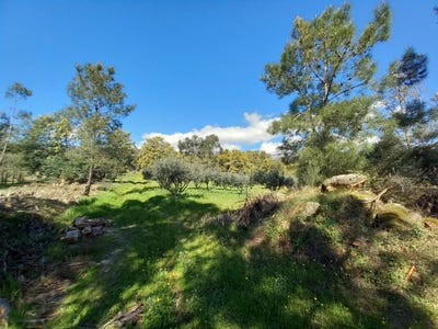 /international/pt/oles-lourical-do-campo-portugal-lourical-do-campo-castelo-branco-310107269443/