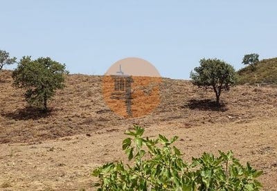 /international/pt/fonte-castro-marim-faro-120092390825/