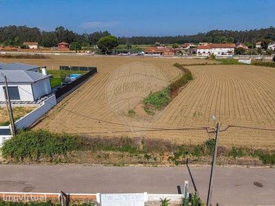 /international/pt/beduido-e-veiros-aveiro-district-310108559035/