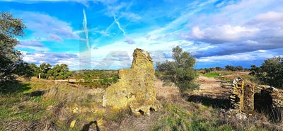 /international/pt/grandola-setubal-municipality-310104230096/