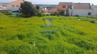 /international/pt/mina-de-agua-lisbon-310108727107/