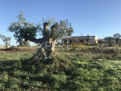 /international/pt/em526-1-faro-faro-310100234244/