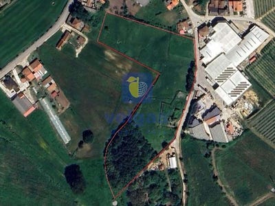 /international/pt/cela-aveiro-310098970843/?lang=zh-tw