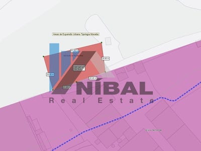 /international/pt/perosinho-porto-310098103154/