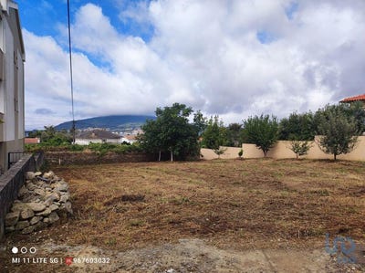 /international/pt/viana-do-castelo-viana-do-castelo-310097074570/