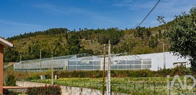 /international/pt/viana-do-castelo-viana-do-castelo-310109122909/