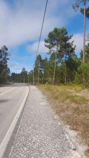 /international/pt/marinha-grande-leiria-310094868060/
