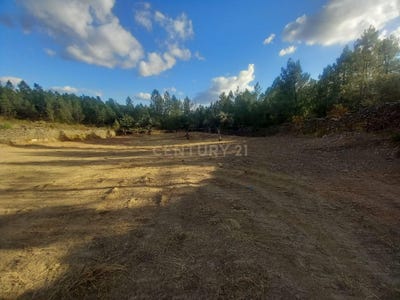 /international/pt/rua-da-fonte-velha-benquerenca-portugal-benquerenca-castelo-branco-310109236163/?lang=it