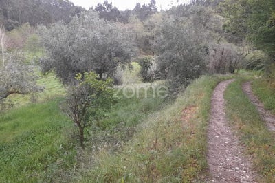 /international/pt/soure-coimbra-120083698835/?lang=en