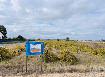 /international/pt/santarem-santarem-310103137603/