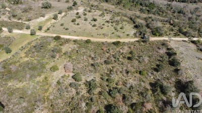 /international/pt/santarem-santarem-310097960069/