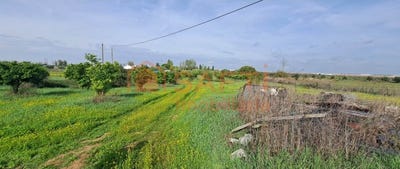 /international/pt/sao-miguel-de-machede-evora-310100483429/