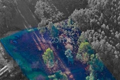 /international/pt/povoa-de-lanhoso-braga-310104619155/