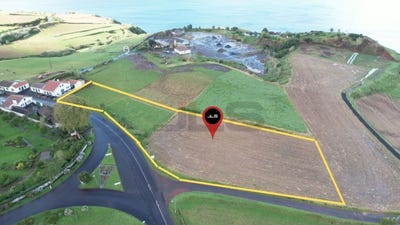 /international/pt/algarvia-azores-310106738603/