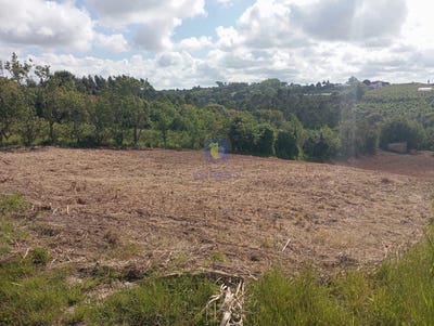 /international/pt/carvalhal-setubal-municipality-310100573325/