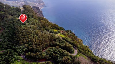 /international/pt/quinta-grande-madeira-310107566175/