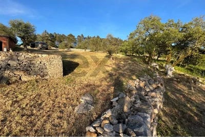 /international/pt/alqueidao-da-serra-leiria-310106772823/