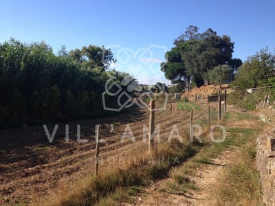 /international/pt/milharado-lisbon-310099590569/