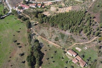 /international/pt/souto-da-casa-castelo-branco-310102894256/