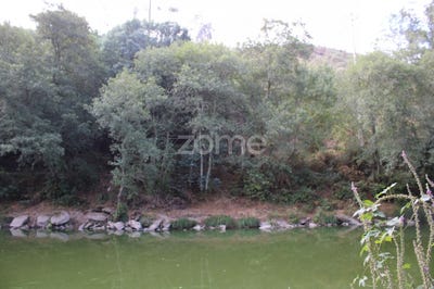 /international/pt/viseu-viseu-310096881825/