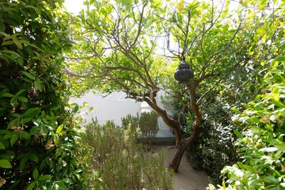 /international/pt/grandola-setubal-municipality-310100667648/?lang=en