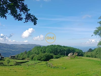 /international/pt/ciboes-braga-310108211393/