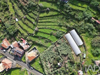 /international/pt/ilha-da-madeira-madeira-310097007459/