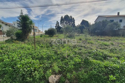 /international/pt/cascais-lisbon-310100276584/