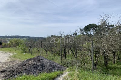 /international/pt/viseu-viseu-310102746644/