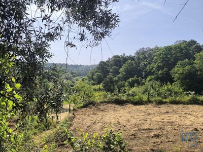 /international/pt/viseu-viseu-310100007009/
