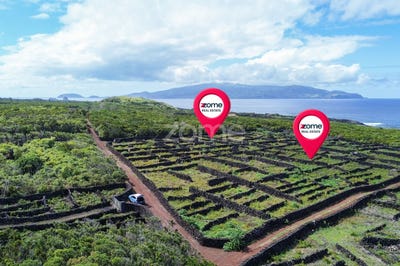 /international/pt/madalena-azores-310102645684/