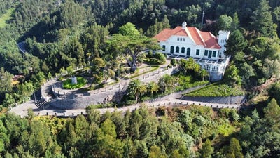 /international/pt/monte-madeira-310100993626/?lang=de
