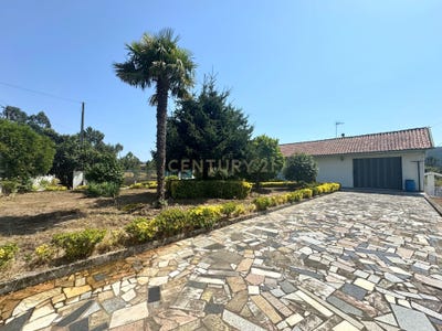 /international/pt/alvre-paredes-portugal-aguiar-de-sousa-porto-310101159064/