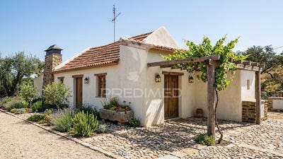 /international/pt/couco-coruche-santarem-310104042293/
