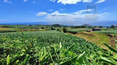 /international/pt/santa-cruz-azores-310103464337/