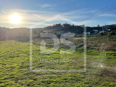/international/pt/couto-de-baixo-e-couto-de-cima-viseu-310106627820/