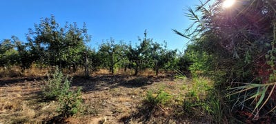 /international/pt/largo-das-eiras-aldeia-galega-da-merceana-e-aldeia-gavinha-lisbon-310105056115/
