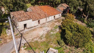 /international/pt/faro-faro-310097725474/