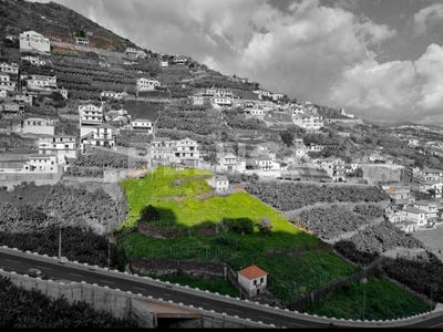 /international/pt/camara-de-lobos-madeira-310099551752/